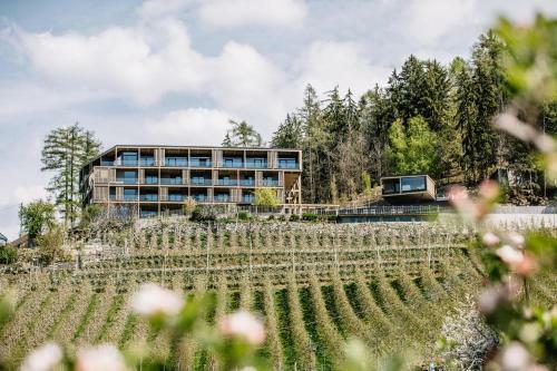 Aparthotel Panoramic Suites Winzerh�he