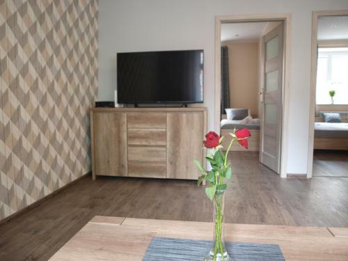 Apartamenty Vns