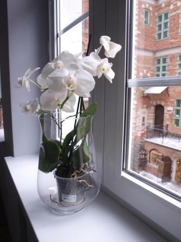 Apartamenty Vns