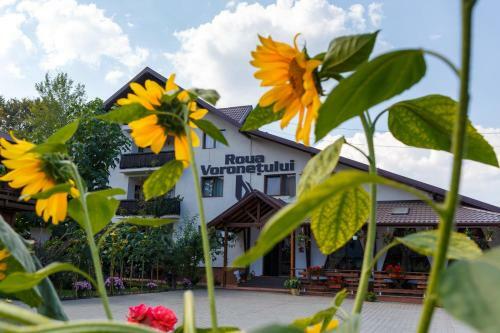 Hostal Roua Voronetului