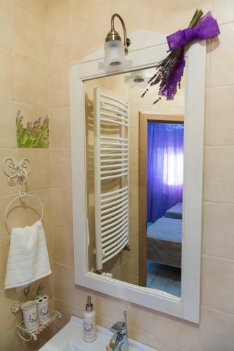 Hostal Pensiunea Agroturistica Floare De Camp