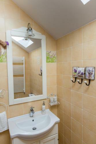 Hostal Pensiunea Agroturistica Floare De Camp