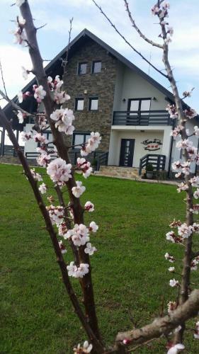 Hostal Pensiunea Agroturistica Floare De Camp