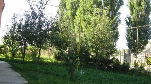 Lary Hostel
