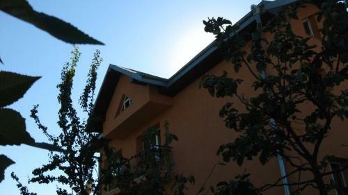 Lary Hostel