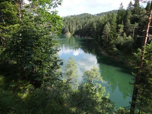 Apartamento Ferienwohnung Haus K�nig