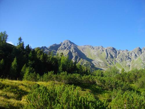 Hostal G�stehaus Bischof