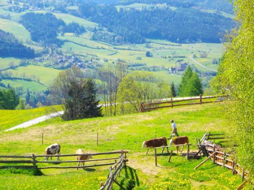 Hostal G�stehaus Bischof