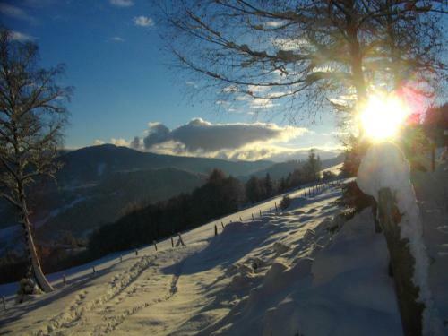 Hostal G�stehaus Bischof