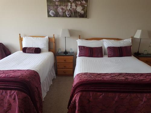 Bed & Breakfast Greenlawn Lodge