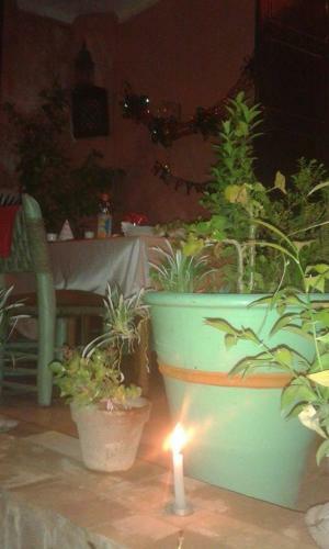 Riad Dar Moughita