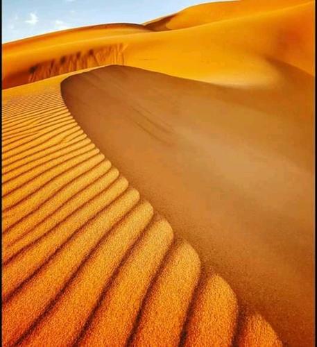 Bivouac Camel Trips
