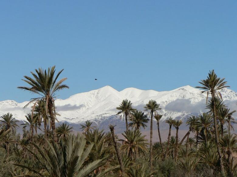 Hostal Gite Kasbah La Palmeraie