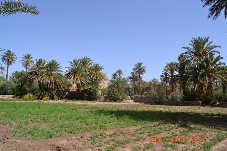 Hostal Gite Kasbah La Palmeraie
