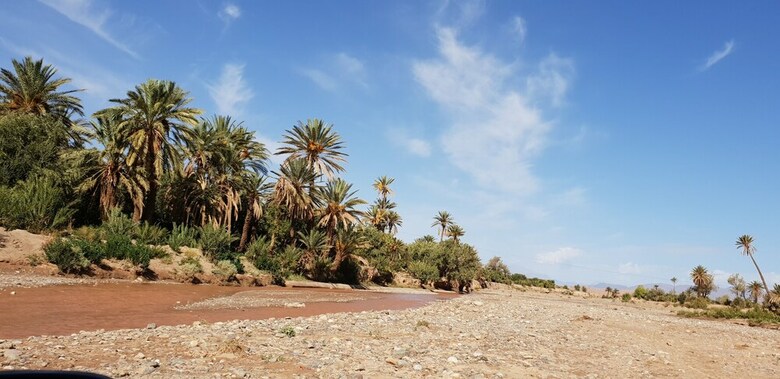 Hostal Gite Kasbah La Palmeraie