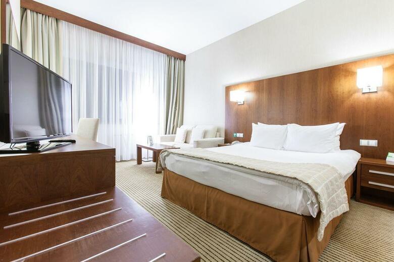 Hotel Holiday Inn Samara