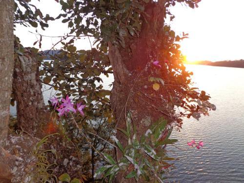 Hotel Caba�as Zirahu�n Cuin