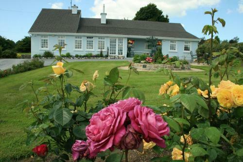 Bed & Breakfast Villa Pio Accommodation