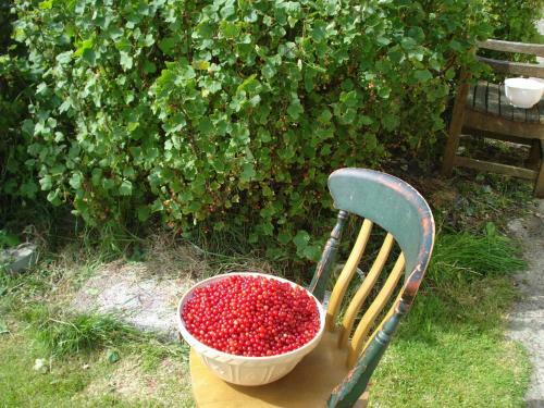 Glendine Irish Home B&B