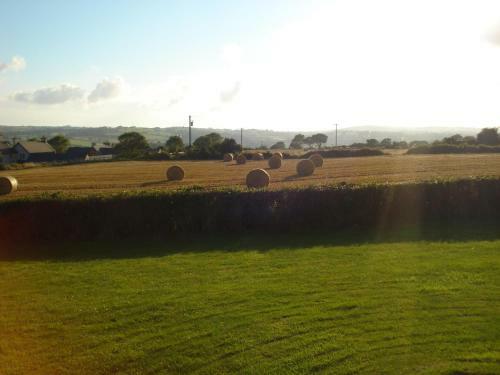 Glendine Irish Home B&B