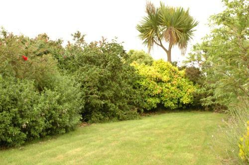 Glendine Irish Home B&B