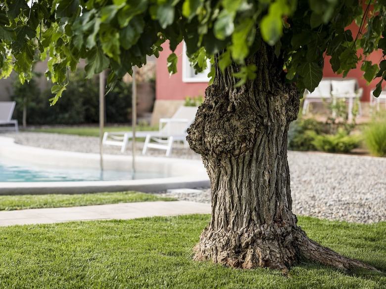 Agroturismo Ca L'agustina