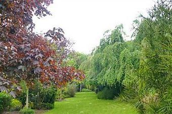 Hostal Diamond Hill Country House