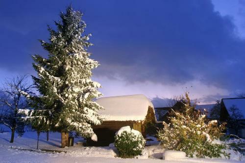 Hostal Gasthof Neuwirt
