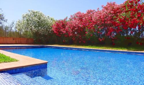 Villa Son Mas