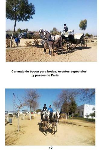 Agroturismo Cortijo Santa Clara