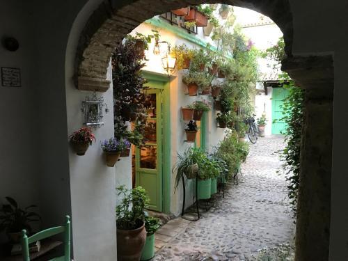 Apartamento El Patio De La Costurera