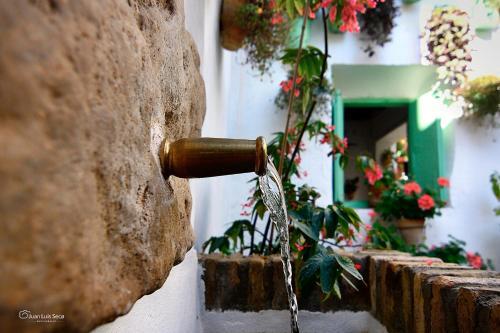 Apartamento El Patio De La Costurera