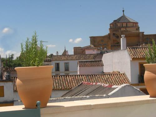 Apartamentos Los Patios De La Juder�a