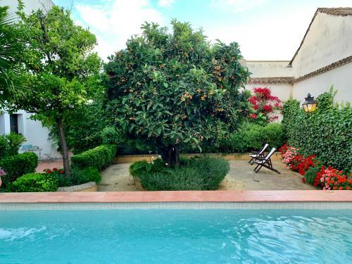 Apartamentos Los Patios De La Juder�a