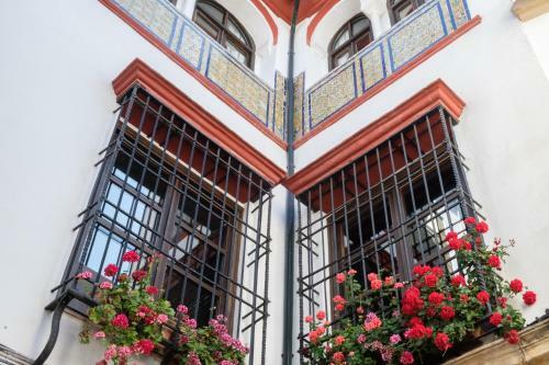 Apartamentos Los Patios De La Juder�a