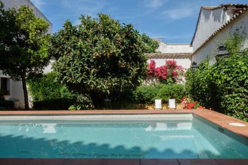 Apartamentos Los Patios De La Juder�a