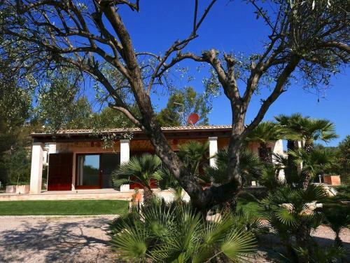 Finca Can Cardaix