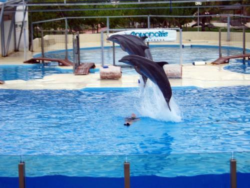 Apartamento Neia Planet Costa Dorada