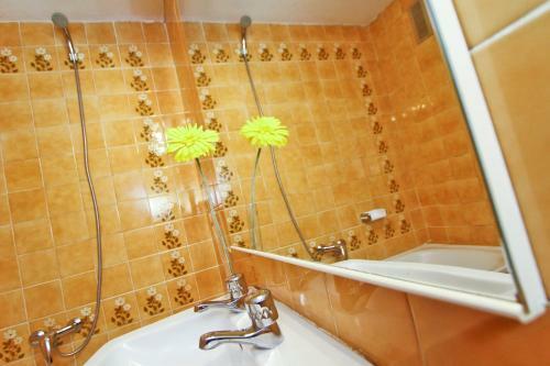 Apartamento Turismar - Delfines