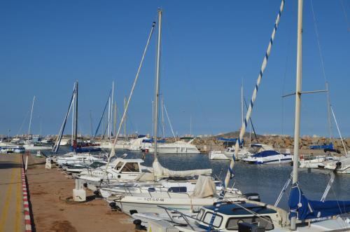 Albatros Playa 3 - 1207