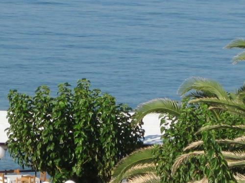 Hostal Maravelias House