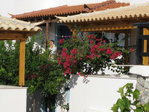 Hostal Maravelias House