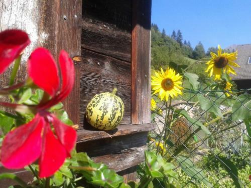 Agroturismo Ranacherhof
