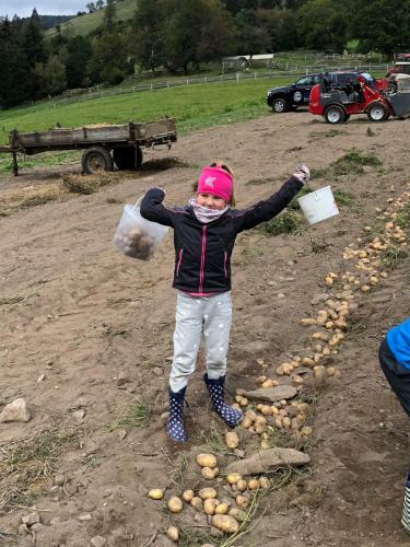 Agroturismo Ranacherhof