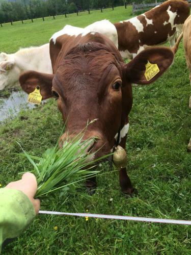 Agroturismo Ranacherhof