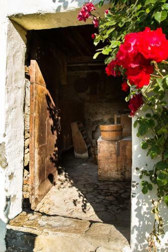 Agroturismo Ranacherhof