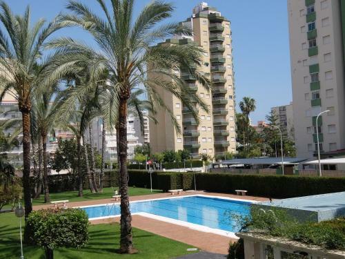 Apartamento Floresta Gandia - Solo Familias