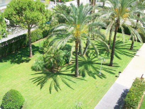 Apartamento Floresta Gandia - Solo Familias