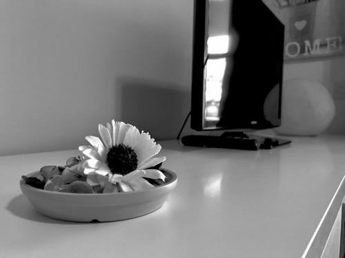 Apartamento Mar Paraiso