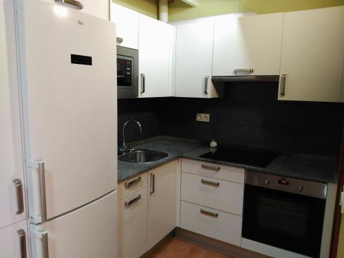 Hotel Y Apartamentos El Cam�n